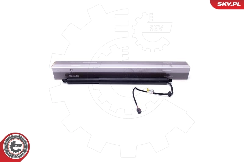 Electric Motor, tailgate